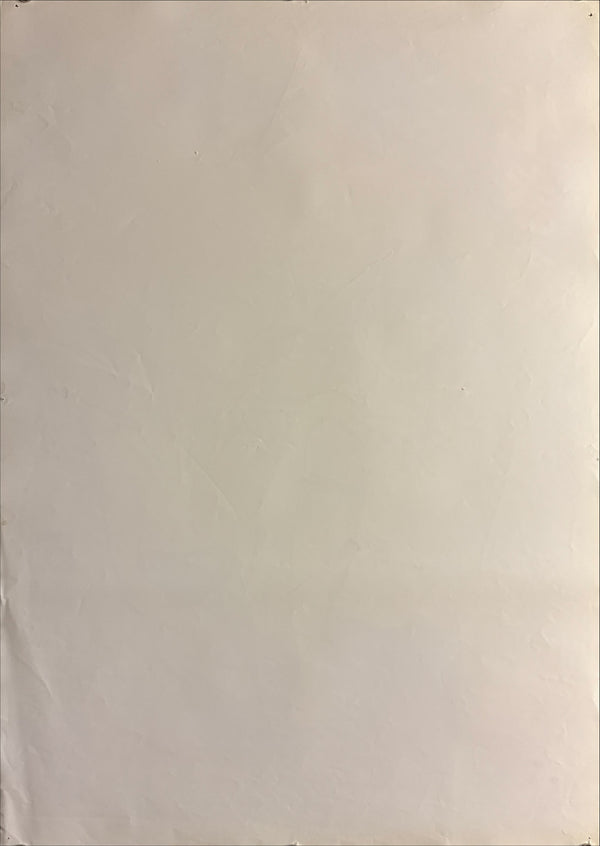 "Princess Mononoke", Original First Release Japanese Movie Poster 1997, B2 Size (51 x 73cm) ZA394