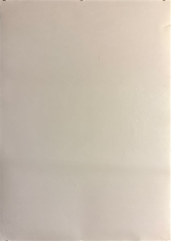 “My Neighbor Totoro” (となりのトトロ), Original Japanese DVD Promotion Poster 2001, B2 Size (51 × 73 cm) N5