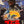 “The Return of Godzilla” (ゴジラ), Original Release Japanese Movie Poster 1984, B2 Size (51 × 73 cm) Q7