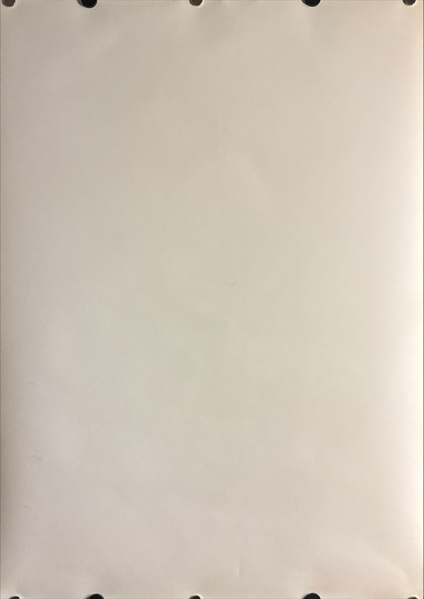 “Spirited Away” (千と千尋の神隠し) Original Japanese Video / DVD Release Poster, 2002 — excellent condition (B2 Size approx. 51 × 73 cm) Q17