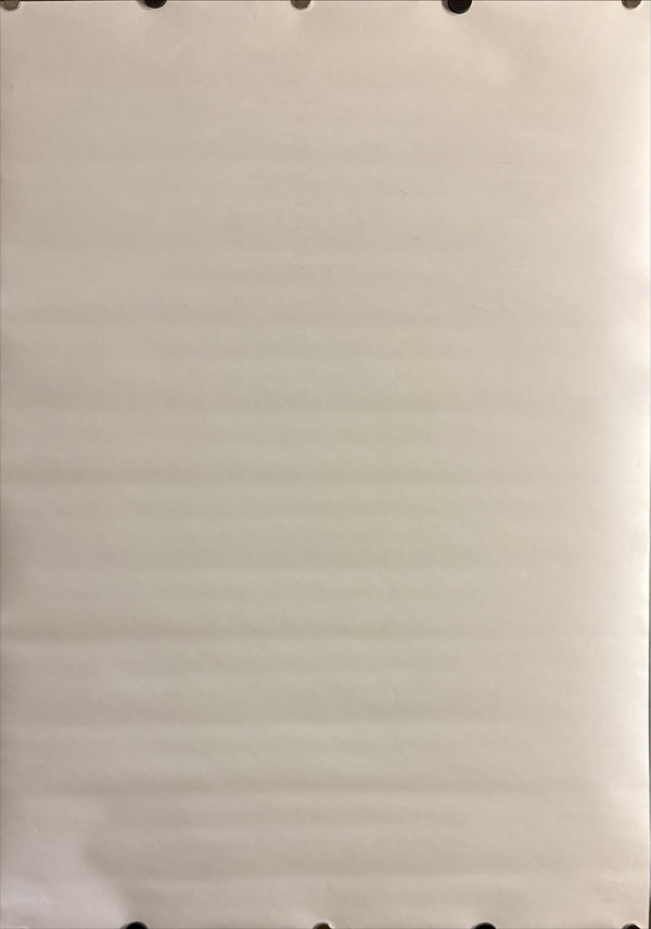 “Dead or Alive 2”, Original Japanese PlayStation 2 Promotional Poster 2000, B2 Size (51 × 73 cm) Q61