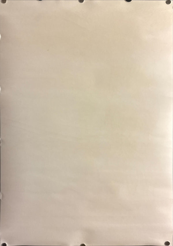 “Akira DVD Special Edition”, Original DVD Release Japanese Movie Poster 2001, B2 Size (51 × 73 cm) M41