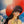 “New Kimagure Orange Road: Summer’s Beginning” (新きまぐれオレンジ☆ロード そして、あの夏のはじまり), Original Japanese First-Release Promotional Poster 1996, B2 Size (51 × 73 cm) Q79