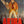“Akira”, Original Dutch Release Movie Poster c. 1990, Size (circa 68 × 99 cm)
