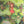 “ARRIETTY / 借りぐらしのアリエッティ”, ORIGINAL JAPANESE DOUBLE-SIDED B1 ROADSHOW THEATRICAL POSTER 2010, Ultra Rare, B1 Size (c. 72.8 x 103cm)