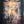 “Star Wars: Episode I – The Phantom Menace”, Original First Japanese Release Japanese Movie Poster, 1999, B1 Size (approx. 73 × 103 cm), Style B / Double-Sided HAK-A