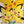 “Pokémon Heroes / Camp Pikachu”, Original Release Japanese B1 Advance / Roadshow Poster 2002, Rare Pikachu & Pichu Brothers Key Visual, B1 Poster Size (c.73cm × 103cm) BAK-A