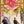 “Shanghai Grand” (上海グランド), Original Japanese Movie Poster 1998, Leslie Cheung / Andy Lau, B2 Format (c. 51 × 73 cm) — U35