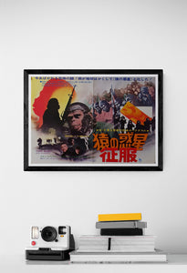 "Conquest of the Planet of the Apes", Original Release Japanese Movie Poster 1972, B3 Size