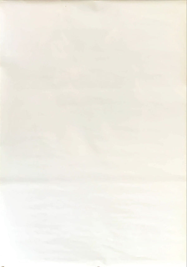 "Spider-Man 2", Original First Release Japanese Movie Poster 2004, B2 Size (51 x 73cm)