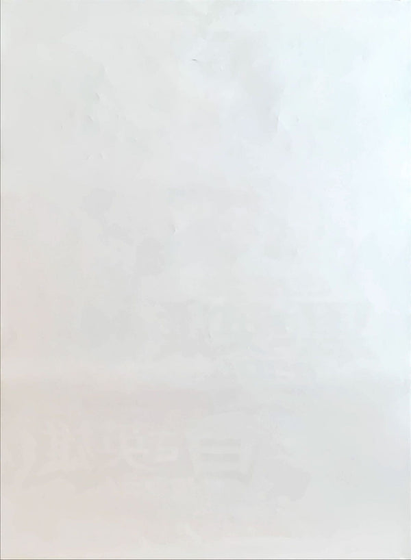"Pokémon the Movie: Black—Victini and Reshiram and White—Victini and Zekrom", Original First Release Japanese Movie Poster 2011, B2 Size (51 x 73cm)