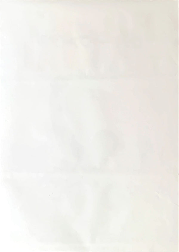 "Rocky Balboa", Original Japanese Movie Poster 2007, B2 Size (51 x 73cm)