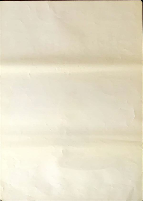 "Dear Diary", Original Release Japanese Movie Poster 1993, B2 Size (51 x 73cm)