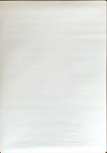 "Spirited Away", Original First Release Japanese Movie Poster 2001, B2 Size (51 x 73cm)