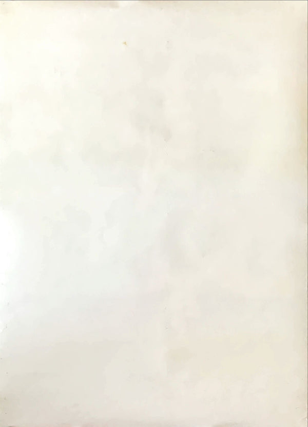 "Neon Genesis: Evangelion", Original Japanese Poster 1996, B2 Size (51 x 73cm)
