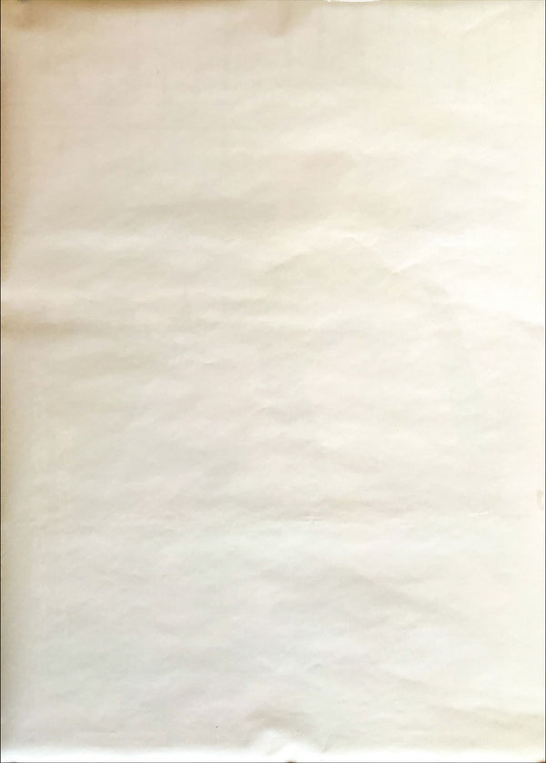 "Lionheart", Original Release Japanese Movie Poster 1990, B2 Size (51 x 73cm)