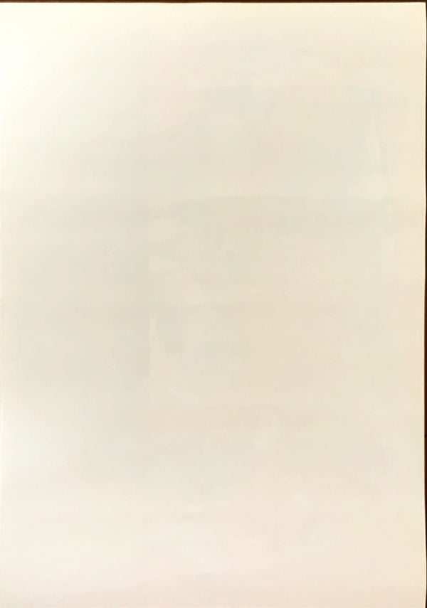 "End of Our Own Real", Original Release Japanese Movie Poster 1997, B2 Size (51 x 73cm)