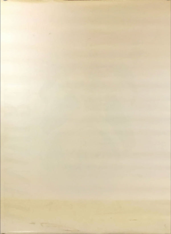 "Neon Genesis: Evangelion", Original Japanese Poster 1990`s, B2 Size (51 x 73cm)