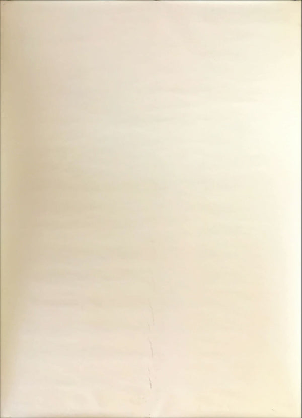 "Neon Genesis: Evangelion", Original Japanese Poster 1990`s, B2 Size (51 x 73cm)