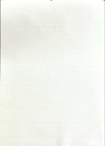 "Neon Genesis: Evangelion", Original Japanese Poster 1997, Gainax, B2 Size (51 x 73cm)
