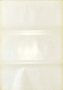 "Neon Genesis: Evangelion", Original Japanese Poster 1996, B2 Size (51 x 73cm)
