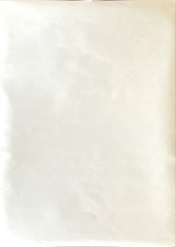 "Battle Royale", (バトル・ロワイアル), Original Release Japanese DVD Movie Poster 2000, B2 Size (51 x 73cm)